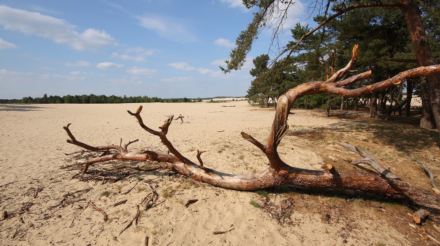 https://mdw-travel-data-us-east-1.s3.amazonaws.com/img/country/Netherlands/Drunense-Duinen/img_03.jpg