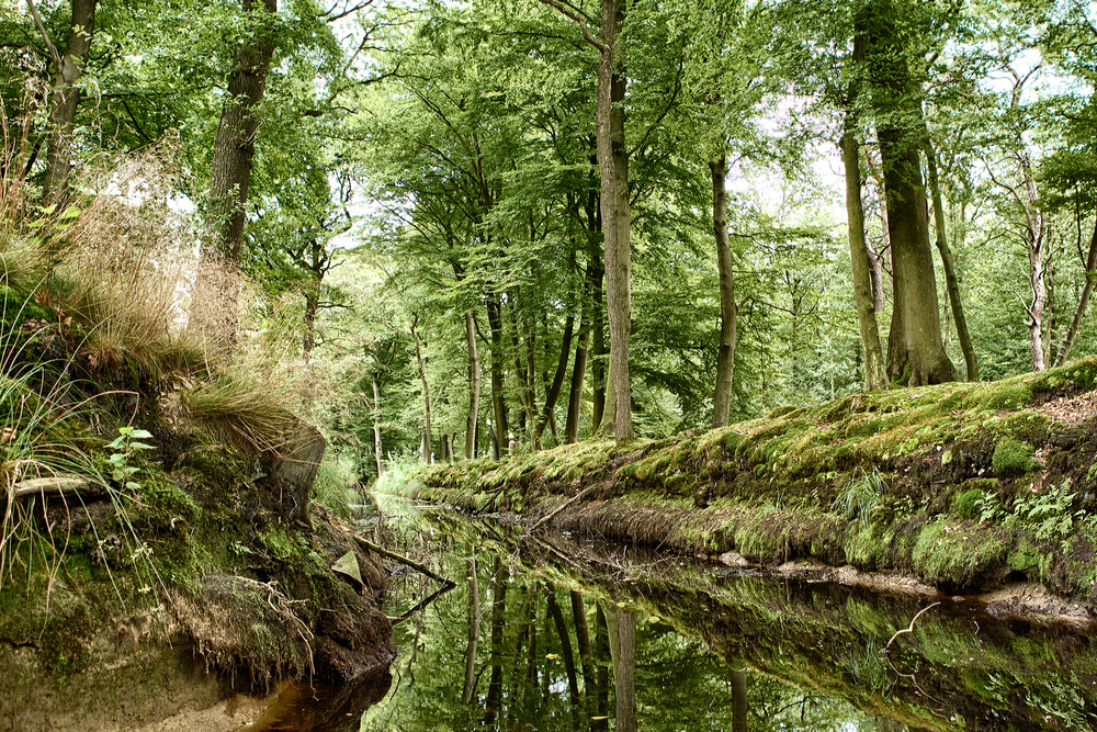 https://mdw-travel-data-us-east-1.s3.amazonaws.com/img/country/Netherlands/Gaasterland/img_00.jpg