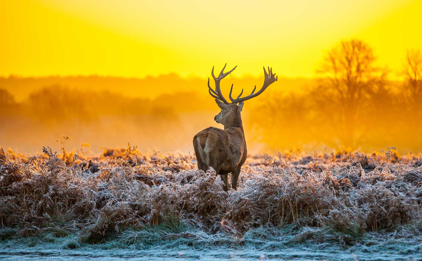 https://mdw-travel-data-us-east-1.s3.amazonaws.com/img/country/Netherlands/Hoge-Veluwe-National-Park/img_01.jpg