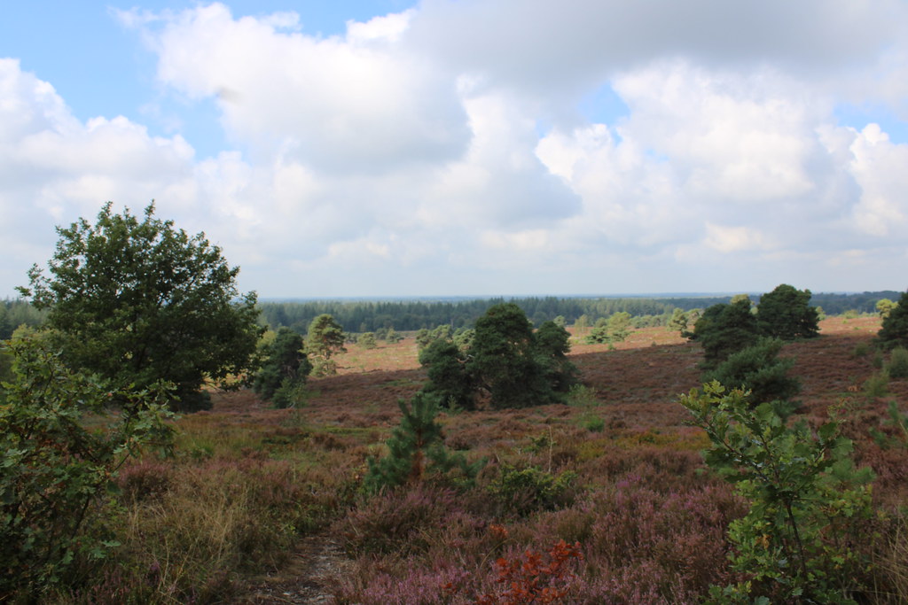 https://mdw-travel-data-us-east-1.s3.amazonaws.com/img/country/Netherlands/Holterberg/img_02.jpg