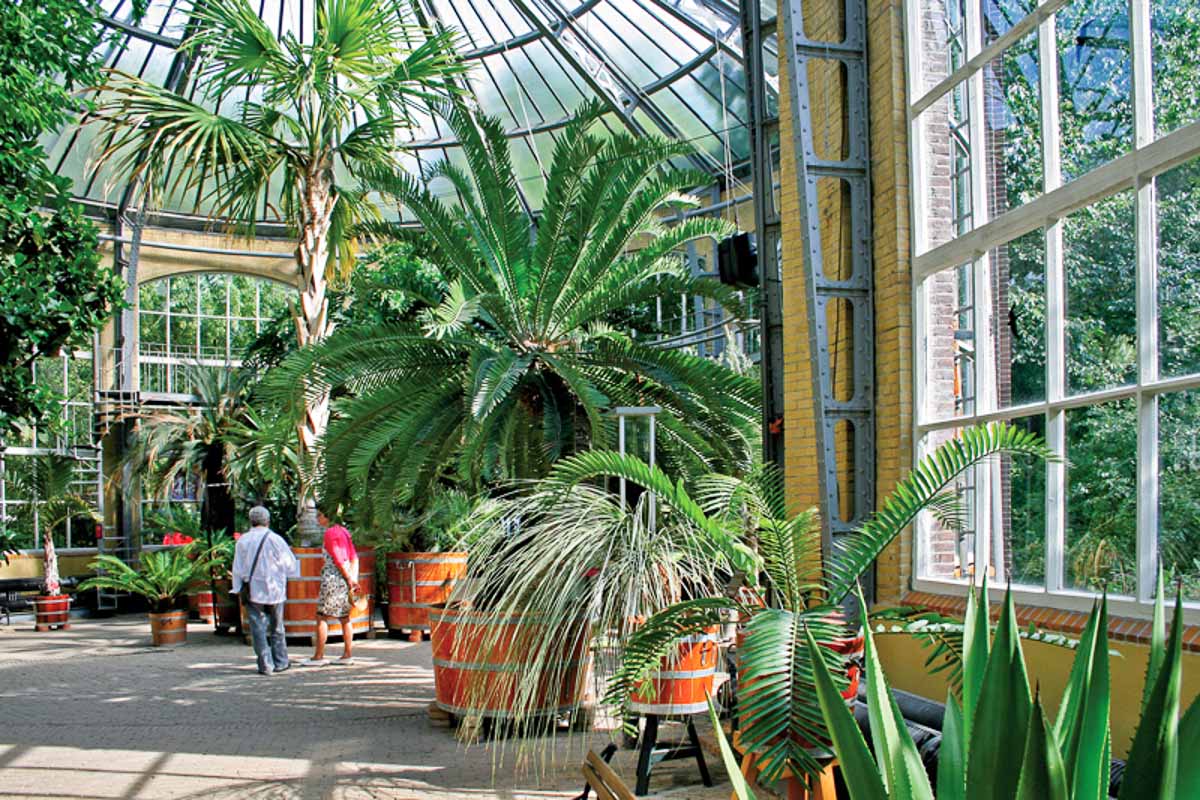 https://mdw-travel-data-us-east-1.s3.amazonaws.com/img/country/Netherlands/Hortus-Botanicus-Amsterdam/img_00.jpg