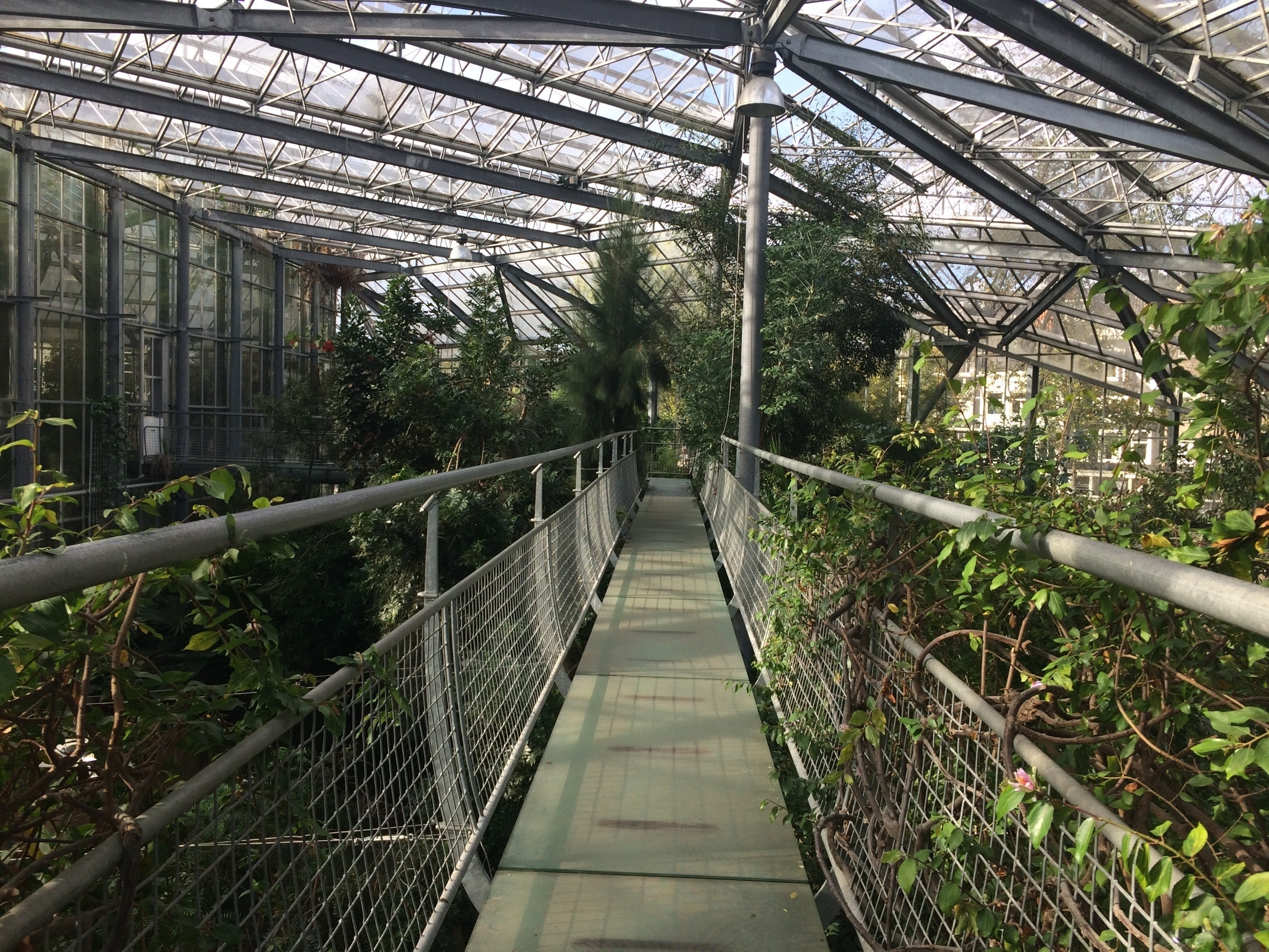 https://mdw-travel-data-us-east-1.s3.amazonaws.com/img/country/Netherlands/Hortus-Botanicus-Amsterdam/img_02.jpg