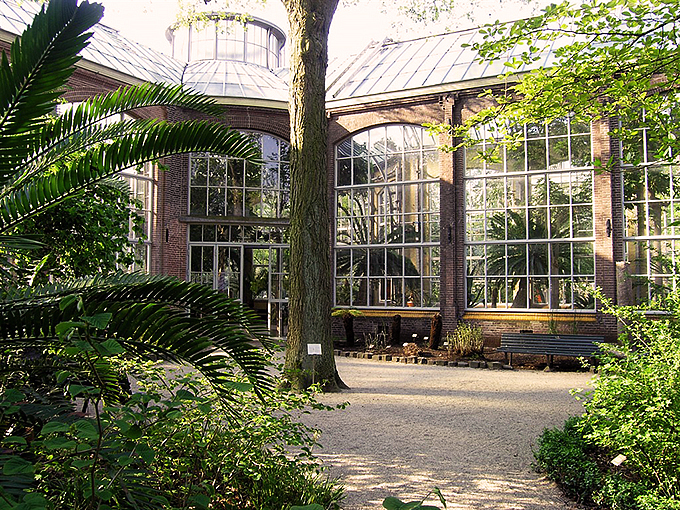 https://mdw-travel-data-us-east-1.s3.amazonaws.com/img/country/Netherlands/Hortus-Botanicus-Amsterdam/img_03.jpg
