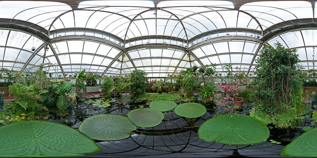 https://mdw-travel-data-us-east-1.s3.amazonaws.com/img/country/Netherlands/Hortus-Botanicus-Leiden/img_02.jpg