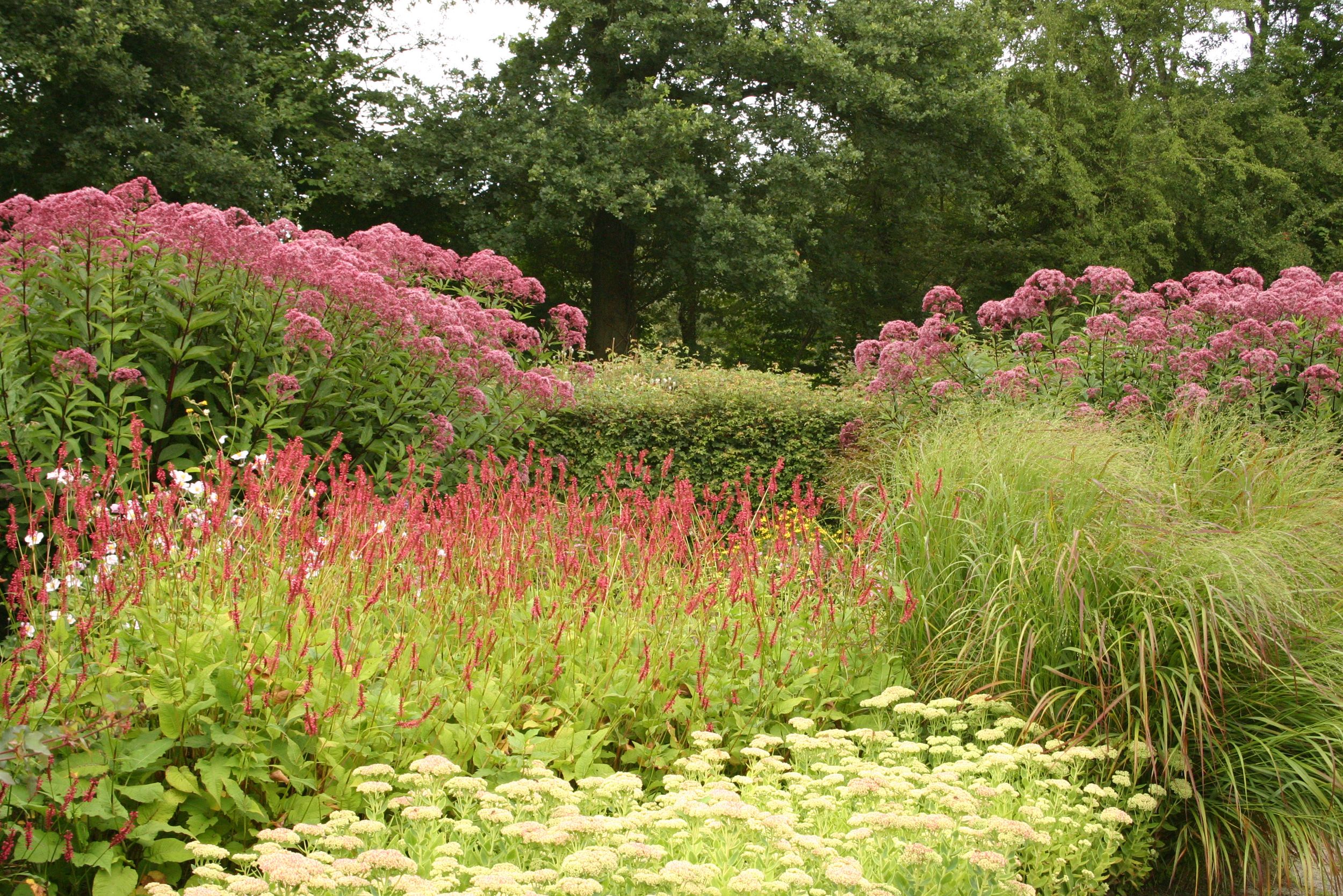 https://mdw-travel-data-us-east-1.s3.amazonaws.com/img/country/Netherlands/Hortus-Haren/img_02.jpg