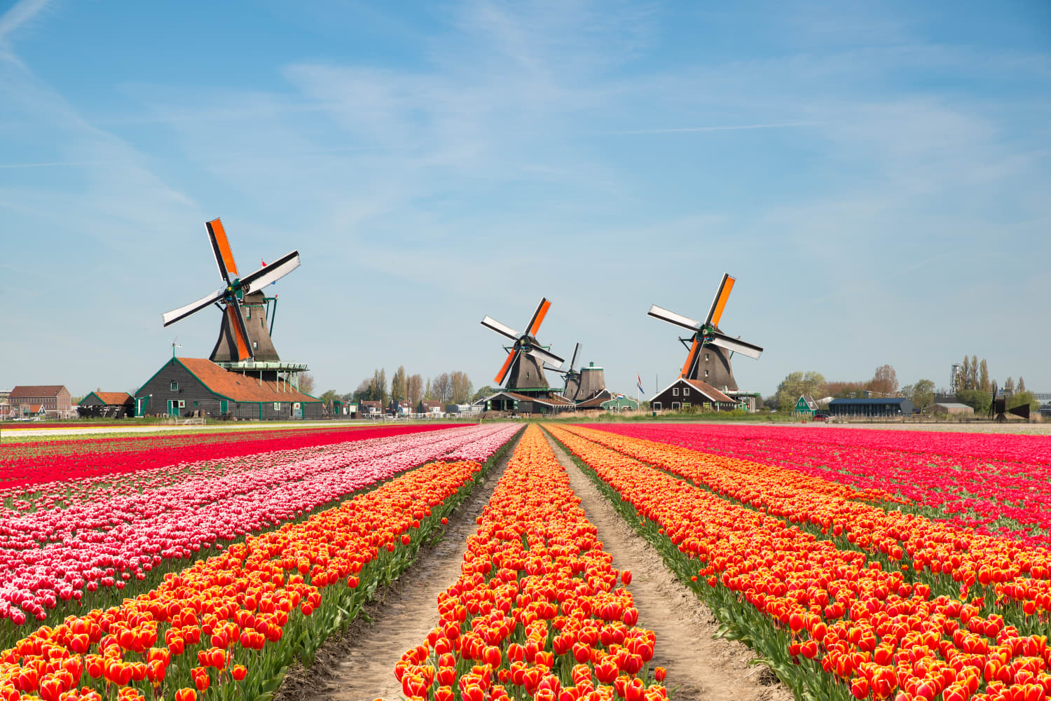 https://mdw-travel-data-us-east-1.s3.amazonaws.com/img/country/Netherlands/Keukenhof/img_02.jpg