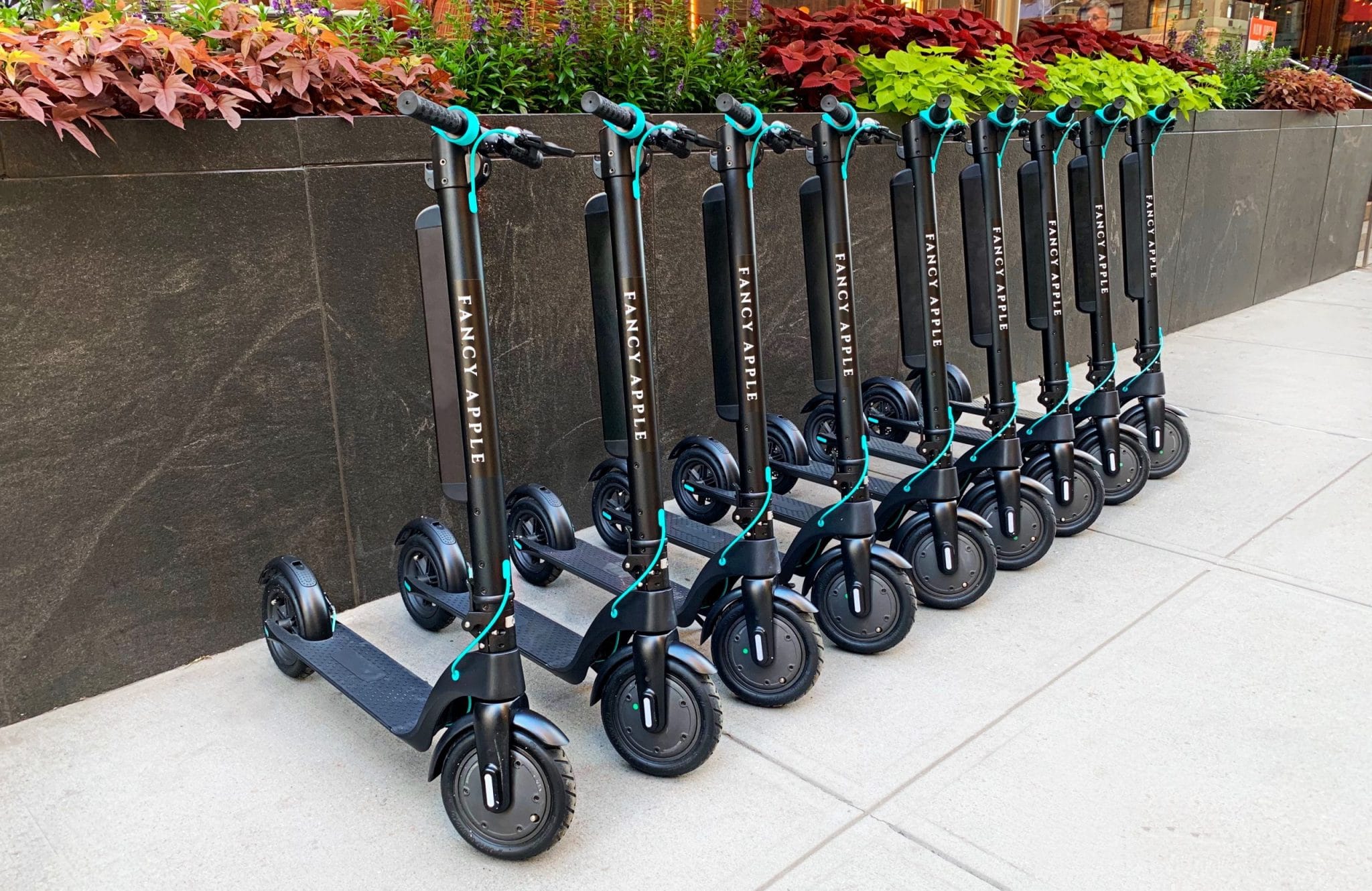 https://mdw-travel-data-us-east-1.s3.amazonaws.com/img/country/Netherlands/Labrats-Electric-Scooter-Rental/img_02.jpg