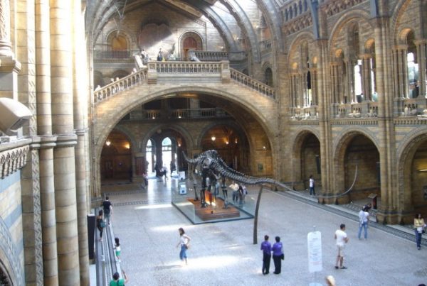 https://mdw-travel-data-us-east-1.s3.amazonaws.com/img/country/Netherlands/Natural-History-Museum-Maastricht/img_00.jpg