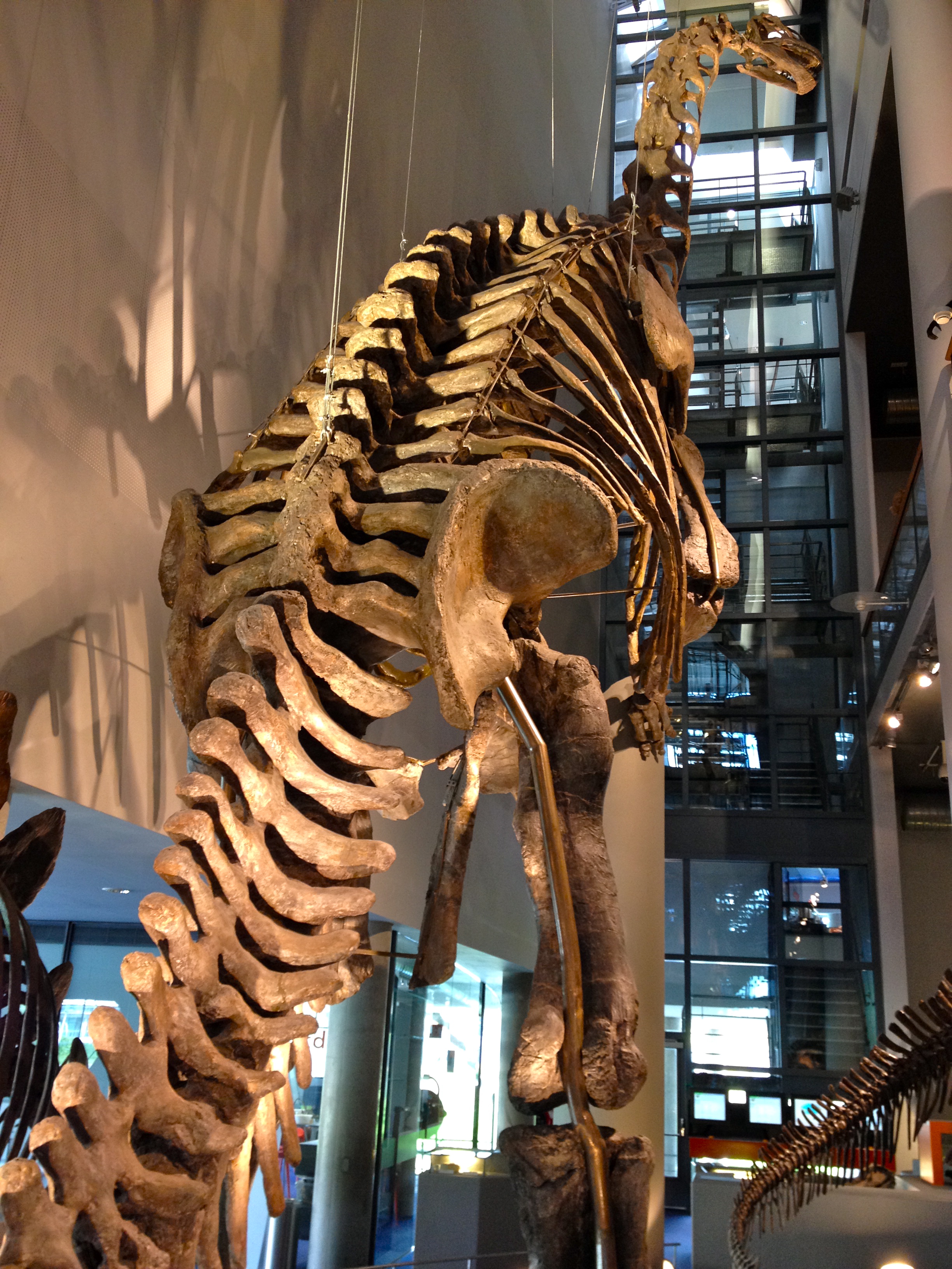 https://mdw-travel-data-us-east-1.s3.amazonaws.com/img/country/Netherlands/Naturalis-Biodiversity-Center/img_01.jpg