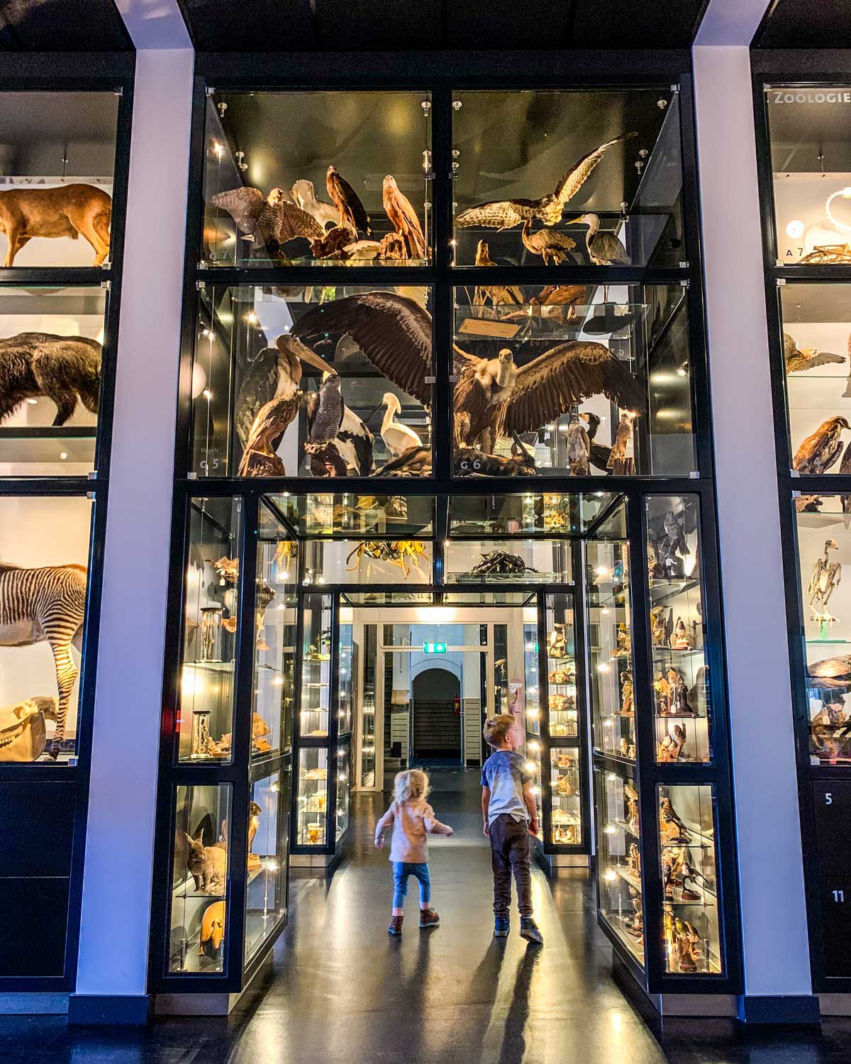 https://mdw-travel-data-us-east-1.s3.amazonaws.com/img/country/Netherlands/Natuurmuseum-Brabant/img_01.jpg