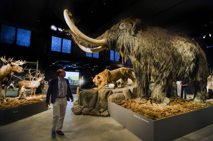 https://mdw-travel-data-us-east-1.s3.amazonaws.com/img/country/Netherlands/Natuurmuseum-Brabant/img_02.jpg