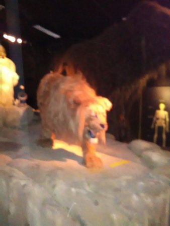 https://mdw-travel-data-us-east-1.s3.amazonaws.com/img/country/Netherlands/Natuurmuseum-Brabant/img_03.jpg