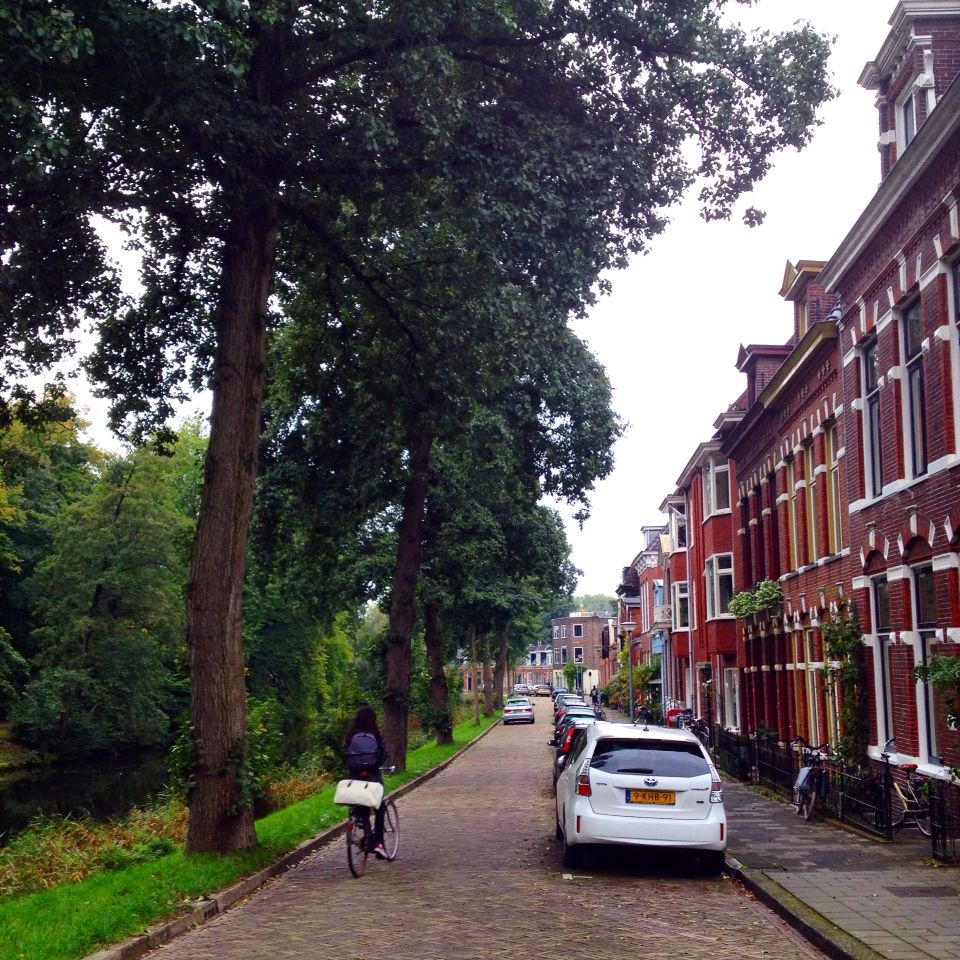 https://mdw-travel-data-us-east-1.s3.amazonaws.com/img/country/Netherlands/Noorderplantsoen/img_03.jpg