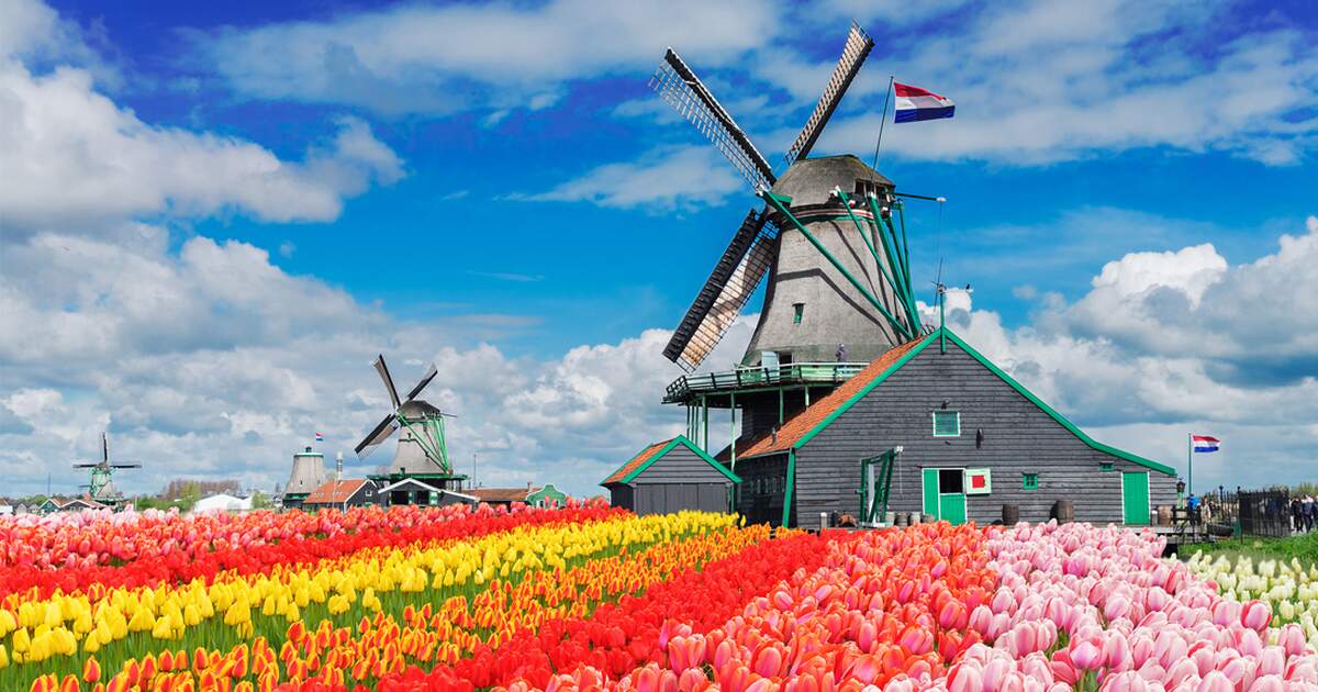https://mdw-travel-data-us-east-1.s3.amazonaws.com/img/country/Netherlands/Princess-Henrica-Windmill/img_00.jpg