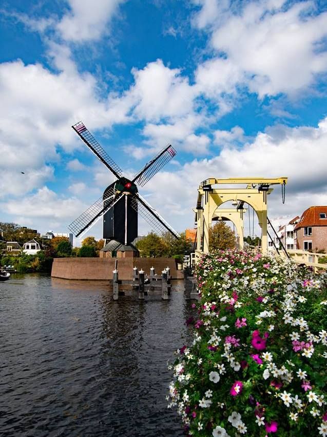 https://mdw-travel-data-us-east-1.s3.amazonaws.com/img/country/Netherlands/Rembrandtbrug/img_02.jpg