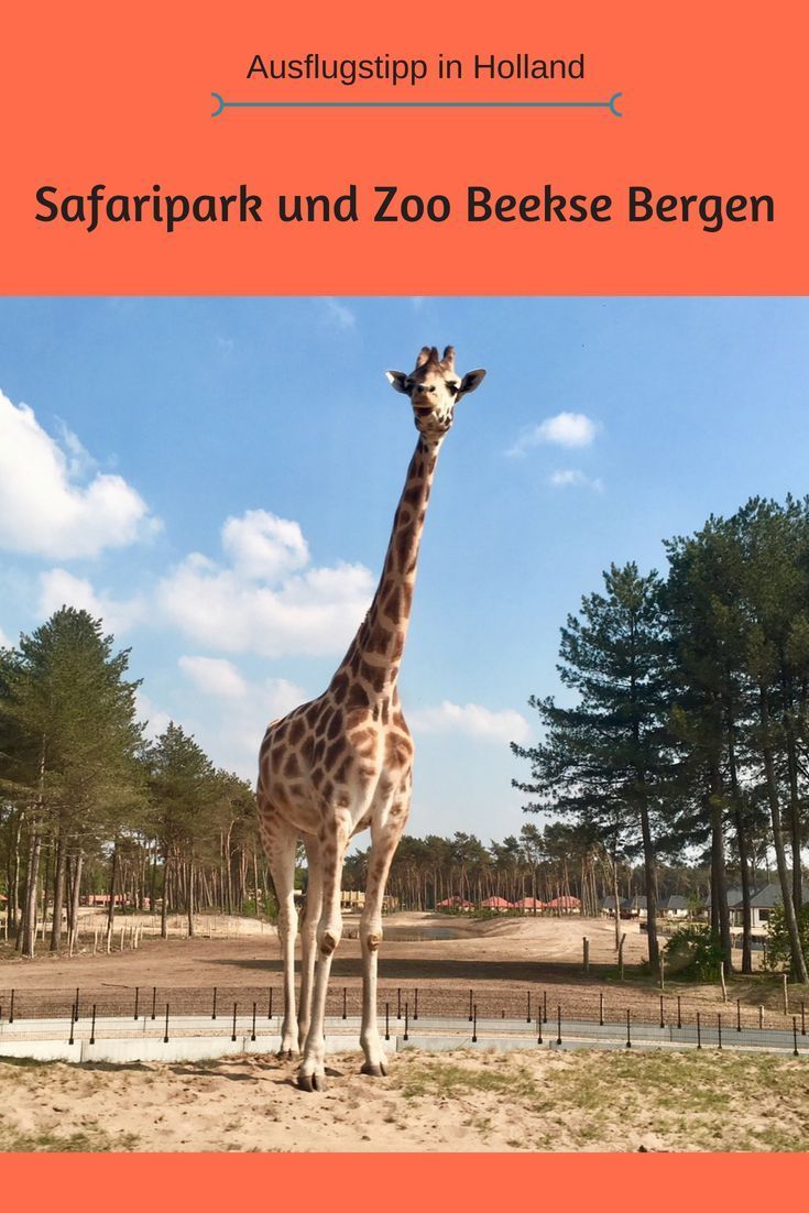 https://mdw-travel-data-us-east-1.s3.amazonaws.com/img/country/Netherlands/Safaripark-Beekse-Bergen/img_00.jpg