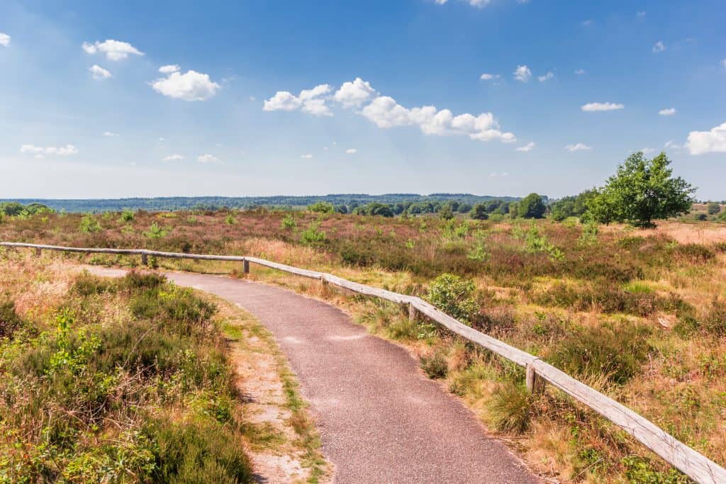 https://mdw-travel-data-us-east-1.s3.amazonaws.com/img/country/Netherlands/Sallandse-Heuvelrug-National-Park/img_01.jpg