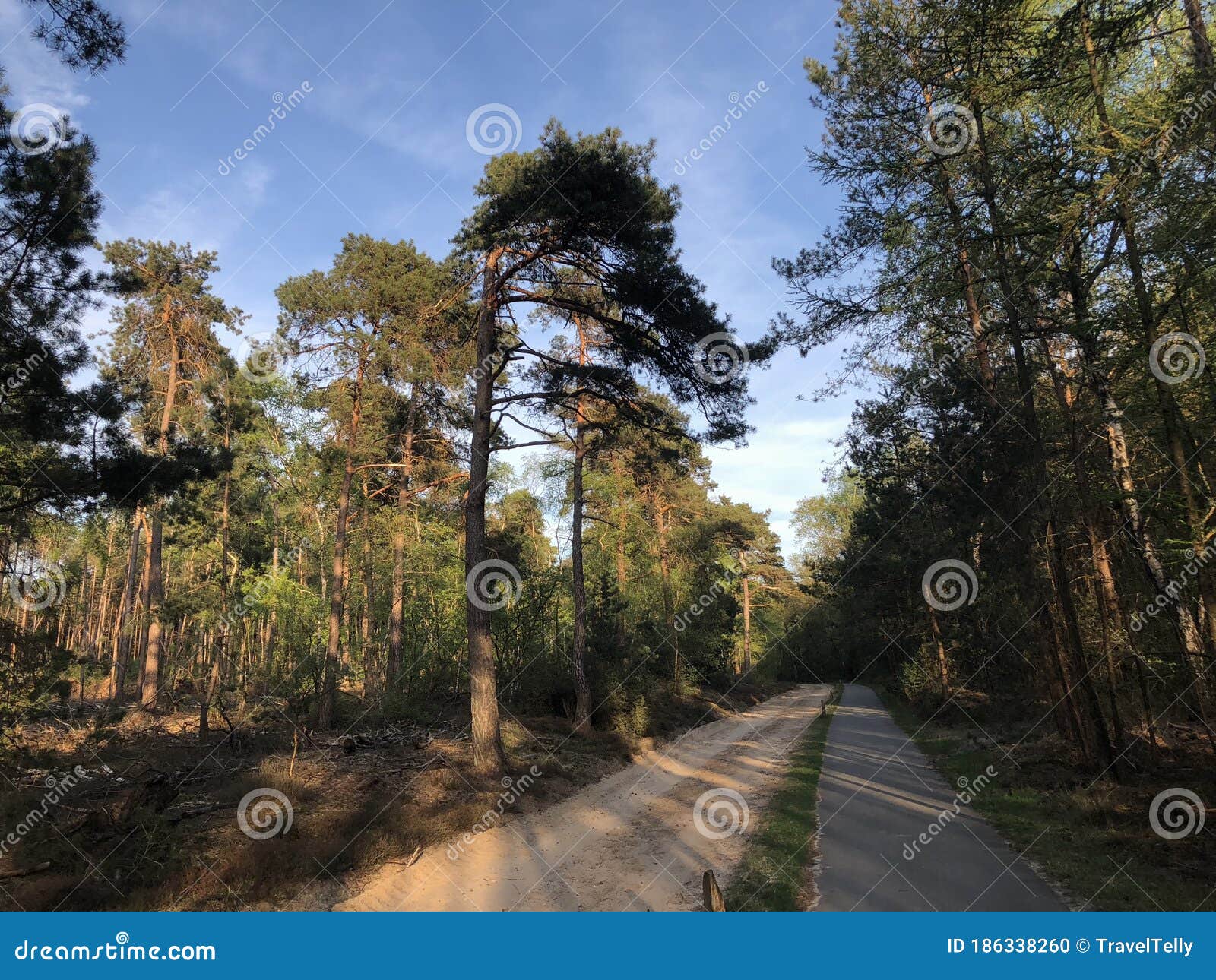 https://mdw-travel-data-us-east-1.s3.amazonaws.com/img/country/Netherlands/Sallandse-Heuvelrug-National-Park/img_02.jpg