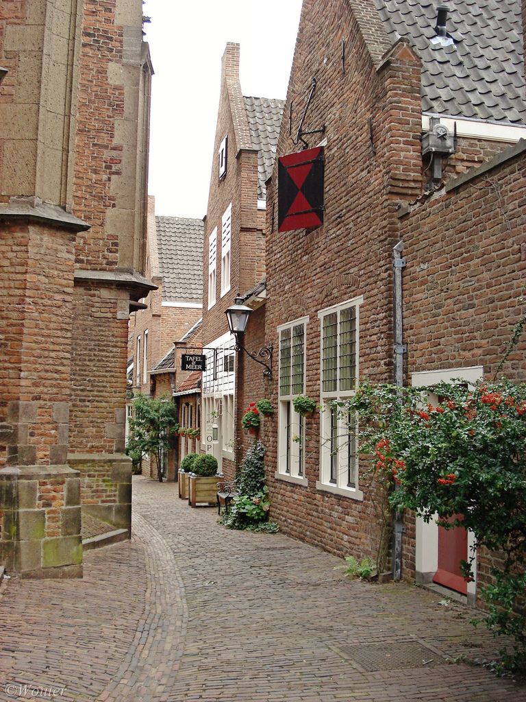 https://mdw-travel-data-us-east-1.s3.amazonaws.com/img/country/Netherlands/Stevenskerk/img_02.jpg