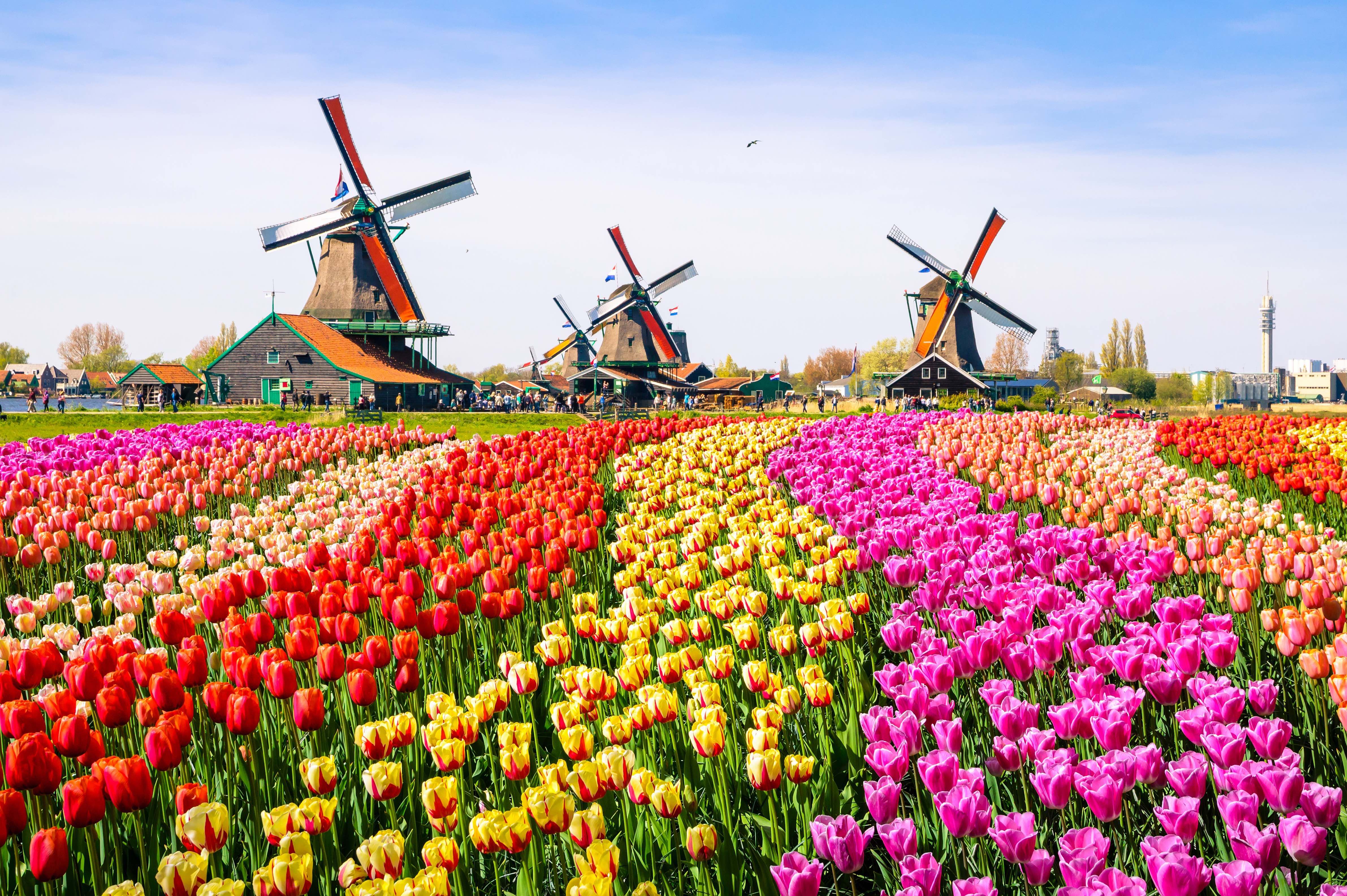 https://mdw-travel-data-us-east-1.s3.amazonaws.com/img/country/Netherlands/Textielmuseum/img_01.jpg