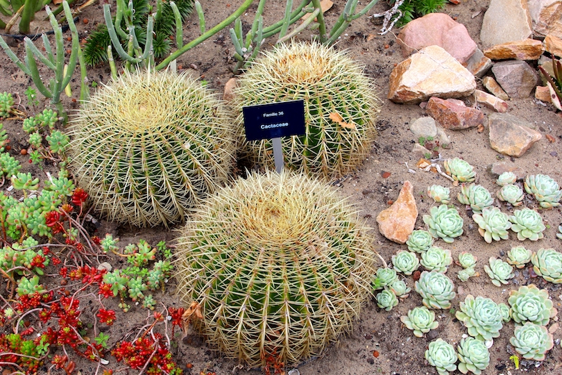 https://mdw-travel-data-us-east-1.s3.amazonaws.com/img/country/Netherlands/Utrecht-Botanic-Gardens/img_03.jpg