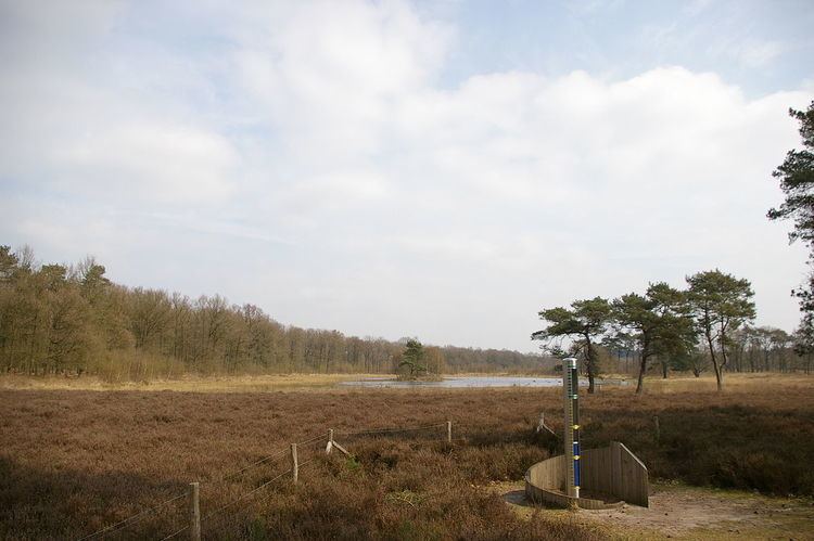 https://mdw-travel-data-us-east-1.s3.amazonaws.com/img/country/Netherlands/Utrechtse-Heuvelrug-National-Park/img_01.jpg