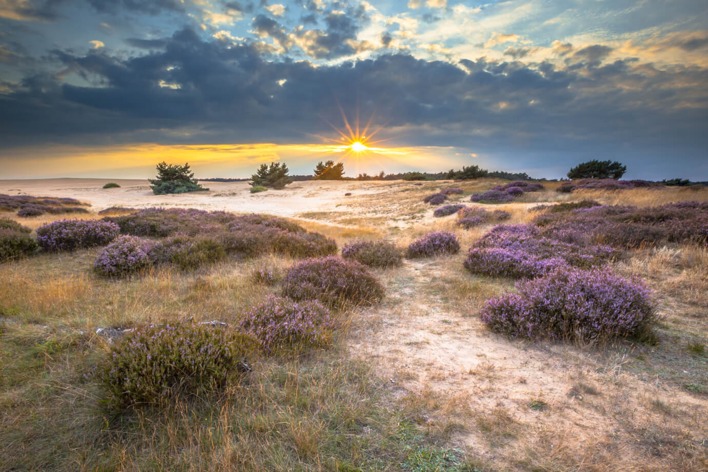 https://mdw-travel-data-us-east-1.s3.amazonaws.com/img/country/Netherlands/Veluwe/img_02.jpg