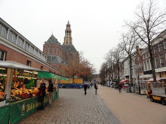 https://mdw-travel-data-us-east-1.s3.amazonaws.com/img/country/Netherlands/Vismarkt/img_00.jpg