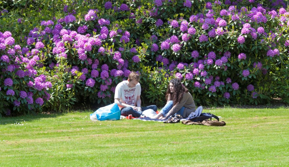 https://mdw-travel-data-us-east-1.s3.amazonaws.com/img/country/Netherlands/Westbroekpark/img_02.jpg