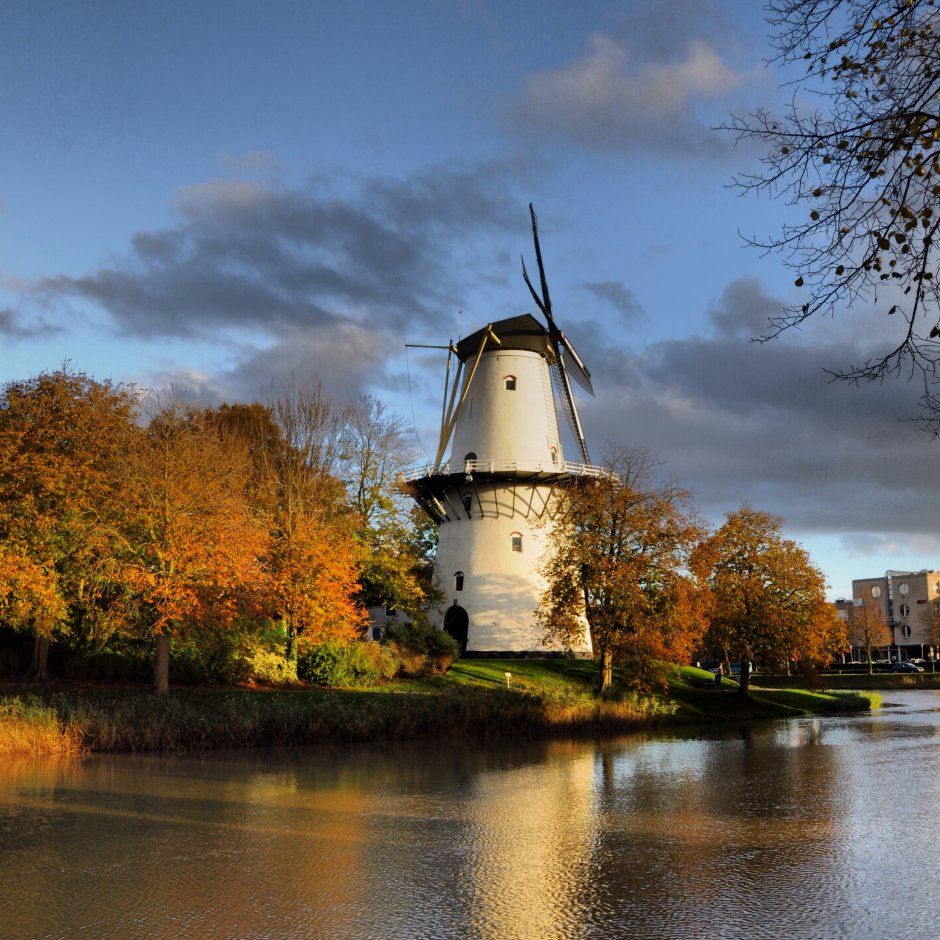 https://mdw-travel-data-us-east-1.s3.amazonaws.com/img/country/Netherlands/Windmolen-De-Hoop/img_01.jpg