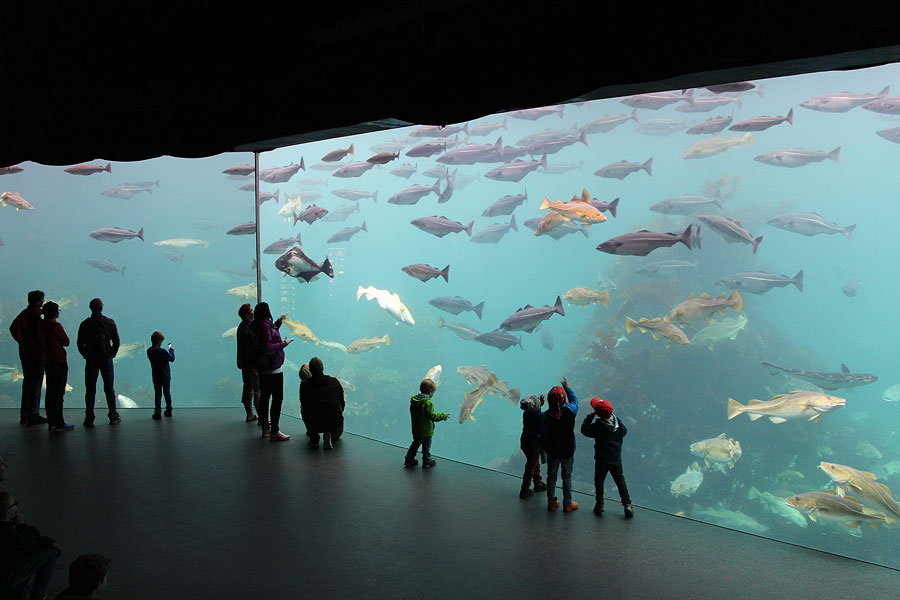 https://mdw-travel-data-us-east-1.s3.amazonaws.com/img/country/Norway/Alesund-Aquarium/img_01.jpg