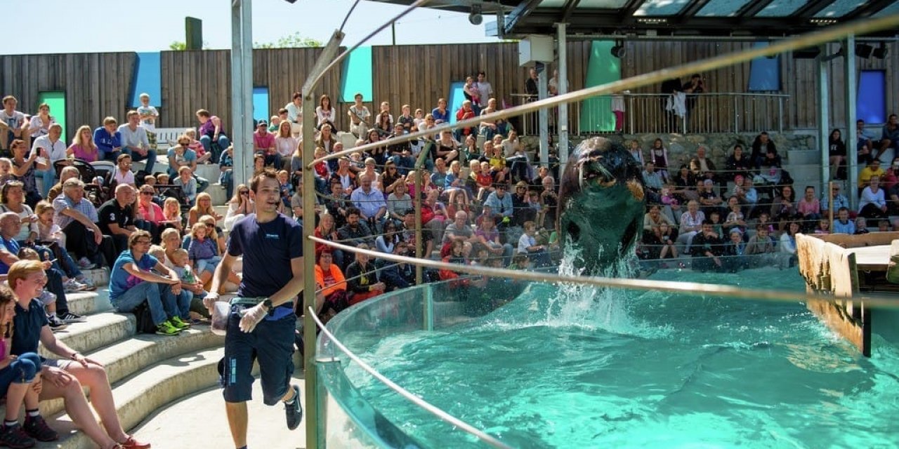 https://mdw-travel-data-us-east-1.s3.amazonaws.com/img/country/Norway/Bergen-Aquarium/img_01.jpg