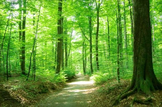 https://mdw-travel-data-us-east-1.s3.amazonaws.com/img/country/Norway/Bokeskogen/img_03.jpg