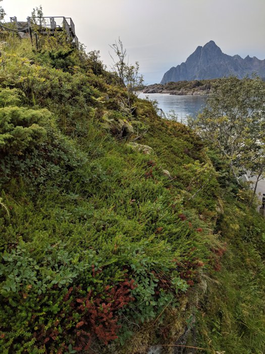 https://mdw-travel-data-us-east-1.s3.amazonaws.com/img/country/Norway/Gallery-Espolin/img_01.jpg