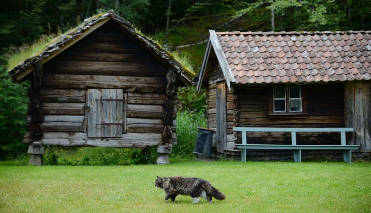 https://mdw-travel-data-us-east-1.s3.amazonaws.com/img/country/Norway/Kverneland-Village-Museum/img_03.jpg