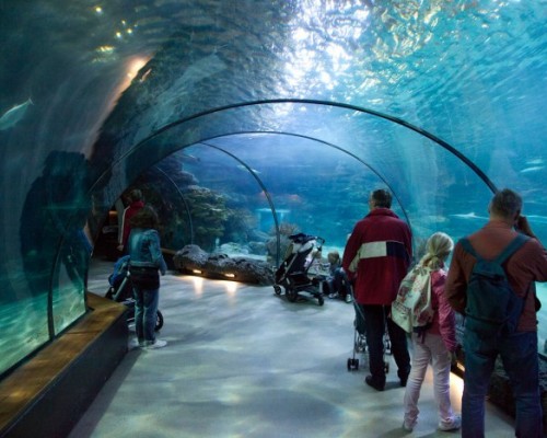 https://mdw-travel-data-us-east-1.s3.amazonaws.com/img/country/Norway/Norwegian-Aquarium/img_02.jpg