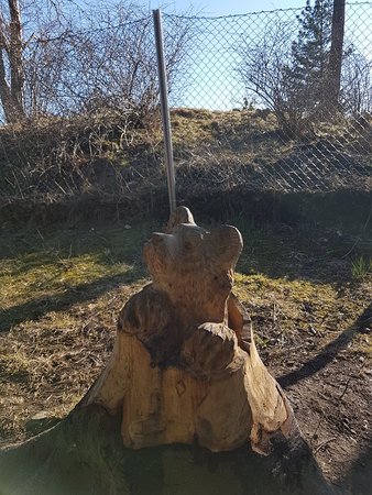 https://mdw-travel-data-us-east-1.s3.amazonaws.com/img/country/Norway/Ringve-Botanical-Gardens/img_02.jpg