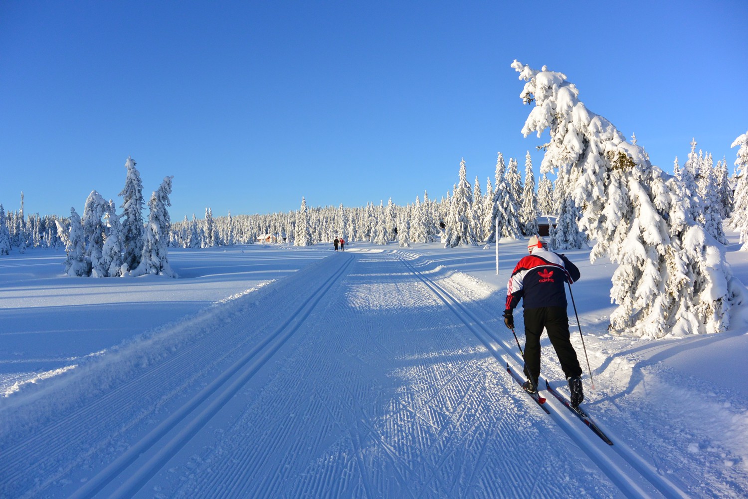 https://mdw-travel-data-us-east-1.s3.amazonaws.com/img/country/Norway/Sjusjoen-Ski-Center/img_01.jpg