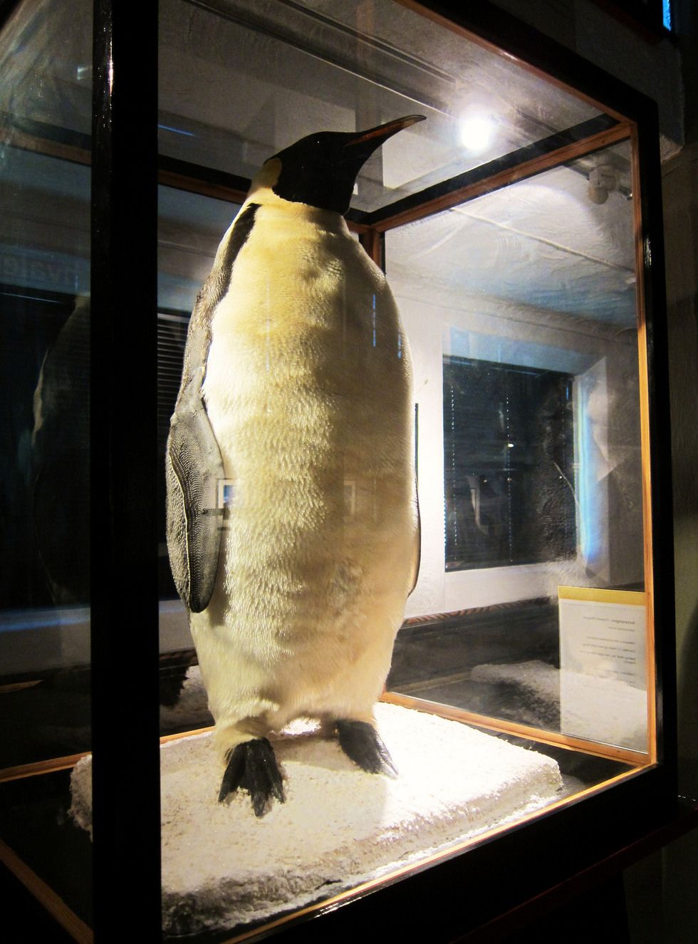 https://mdw-travel-data-us-east-1.s3.amazonaws.com/img/country/Norway/The-Whaling-Museum/img_00.jpg