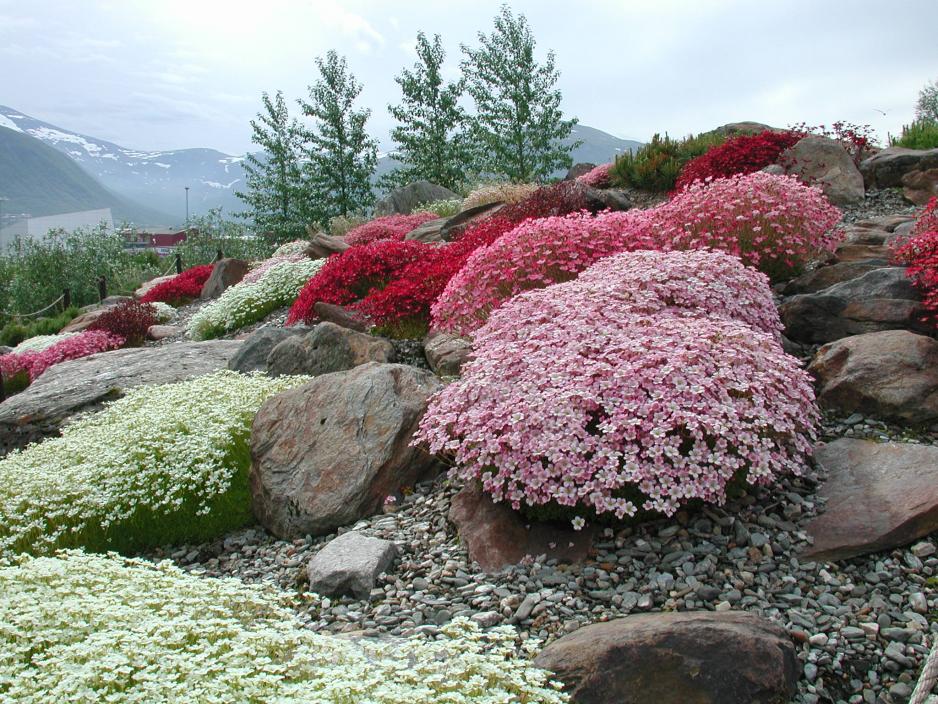 https://mdw-travel-data-us-east-1.s3.amazonaws.com/img/country/Norway/Tromso-Botaniske-Hage/img_01.jpg