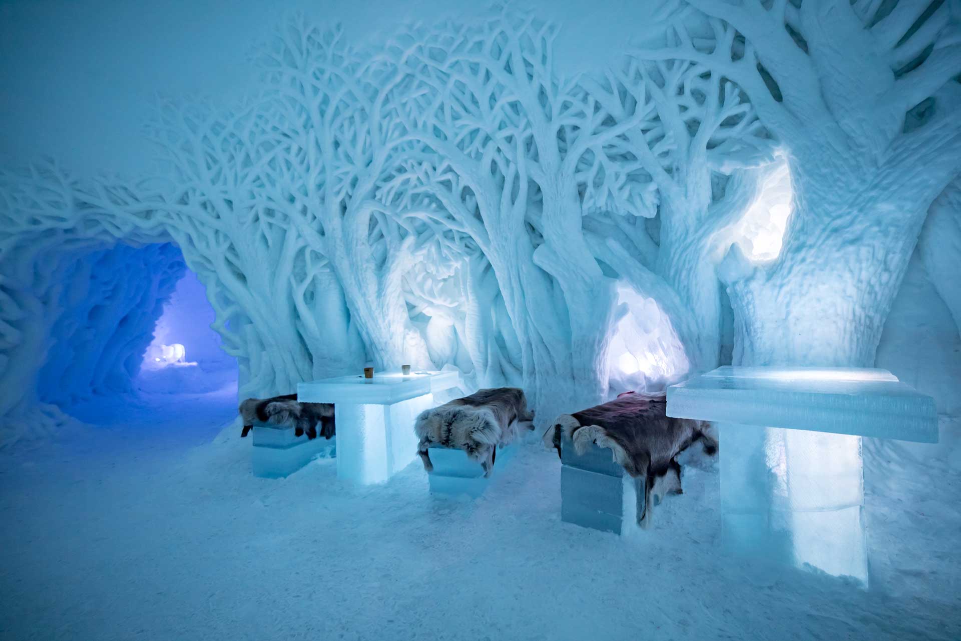 https://mdw-travel-data-us-east-1.s3.amazonaws.com/img/country/Norway/Tromso-Ice-Domes/img_01.jpg