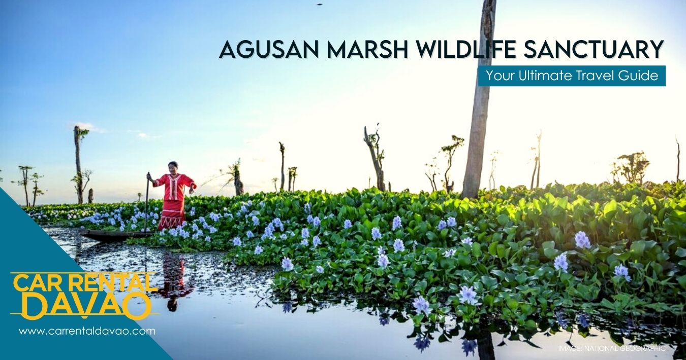 https://mdw-travel-data-us-east-1.s3.amazonaws.com/img/country/Philippines/Agusan-Marsh-Wildlife-Sanctuary/img_02.jpg