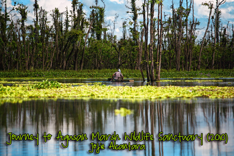 https://mdw-travel-data-us-east-1.s3.amazonaws.com/img/country/Philippines/Agusan-Marsh-Wildlife-Sanctuary/img_03.jpg