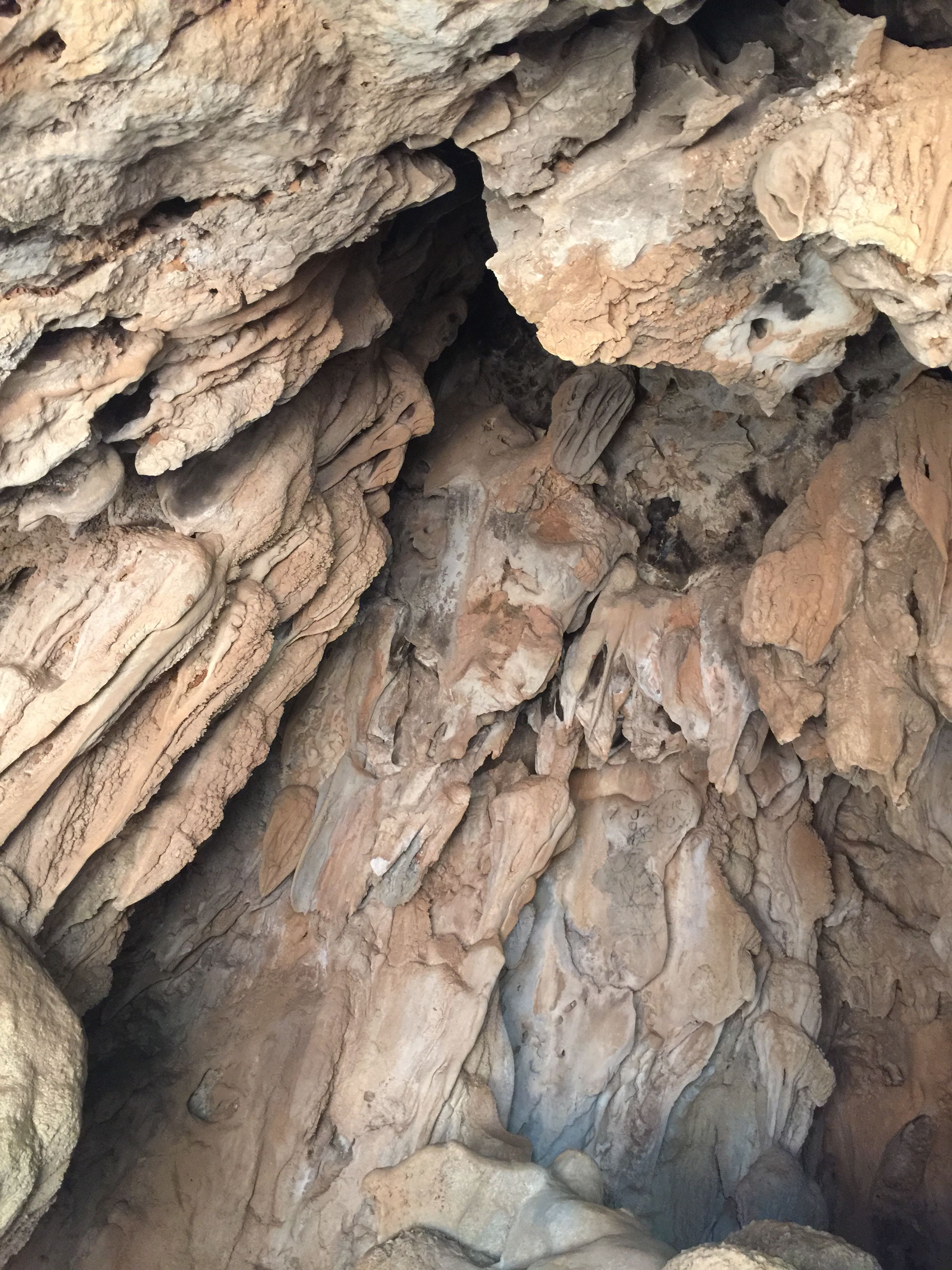 https://mdw-travel-data-us-east-1.s3.amazonaws.com/img/country/Philippines/Aklan-Bat-Cave/img_00.jpg
