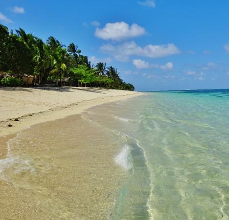 https://mdw-travel-data-us-east-1.s3.amazonaws.com/img/country/Philippines/Alegria-Beach/img_01.jpg