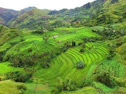 https://mdw-travel-data-us-east-1.s3.amazonaws.com/img/country/Philippines/Antique-Rice-Terraces/img_02.jpg