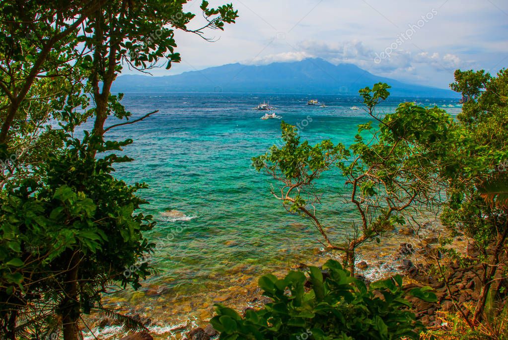 https://mdw-travel-data-us-east-1.s3.amazonaws.com/img/country/Philippines/Apo-Island/img_02.jpg