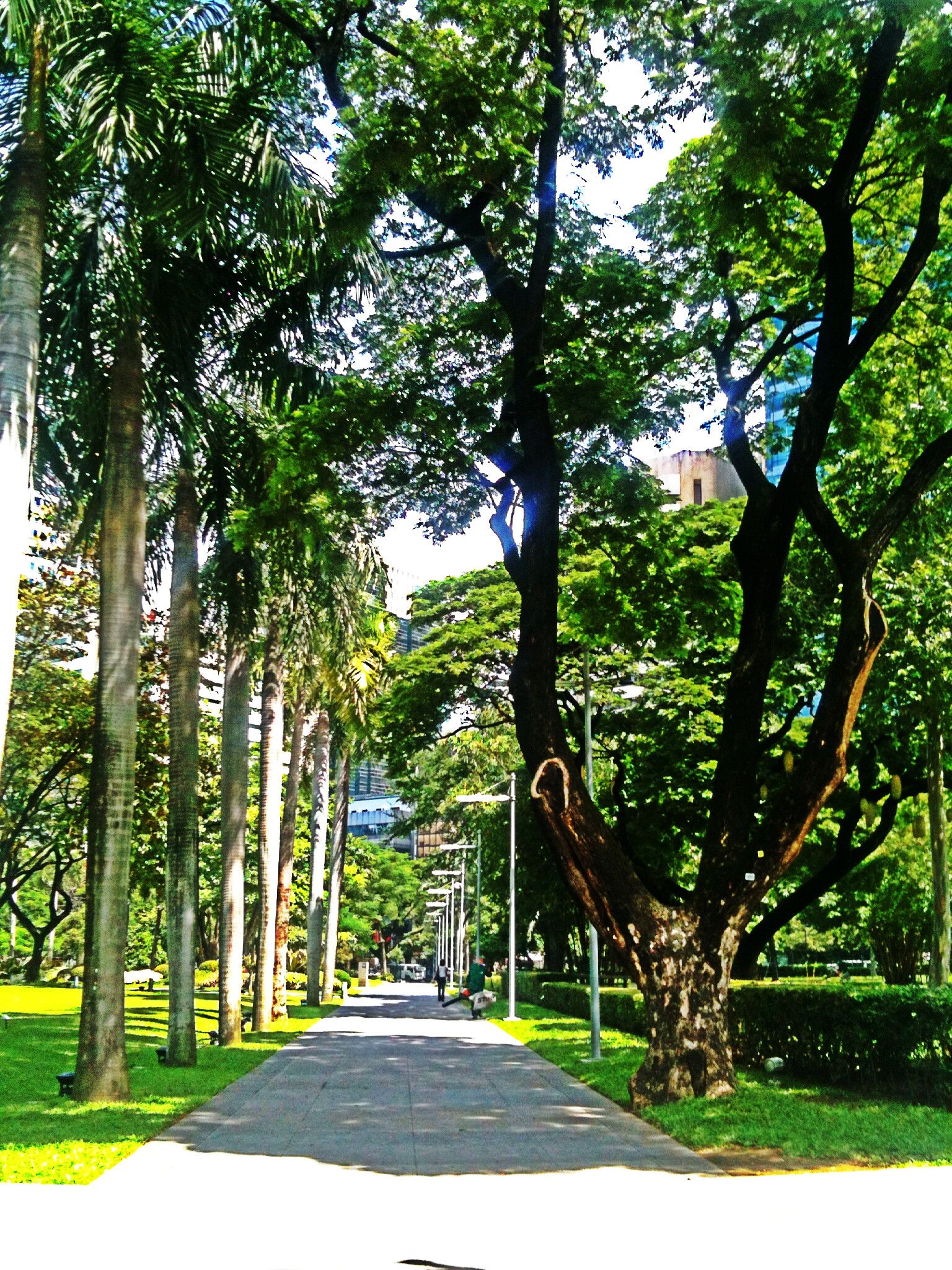 https://mdw-travel-data-us-east-1.s3.amazonaws.com/img/country/Philippines/Ayala-Triangle-Gardens/img_02.jpg