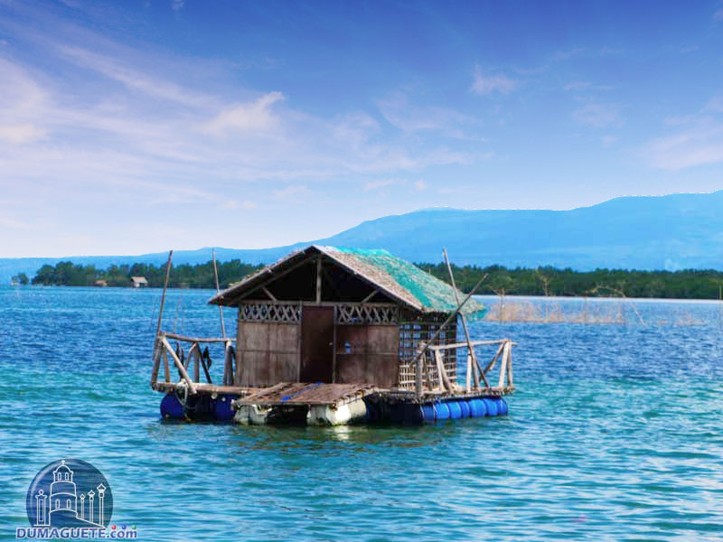 https://mdw-travel-data-us-east-1.s3.amazonaws.com/img/country/Philippines/Bais-City-Fish-Sanctuary/img_02.jpg