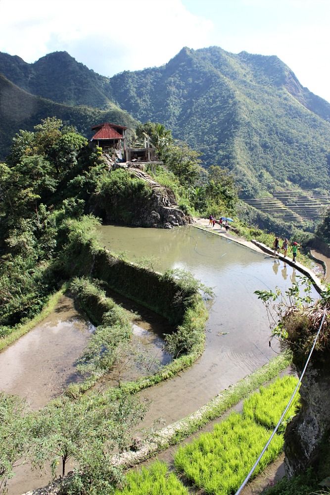https://mdw-travel-data-us-east-1.s3.amazonaws.com/img/country/Philippines/Batad-Rice-Terraces/img_01.jpg